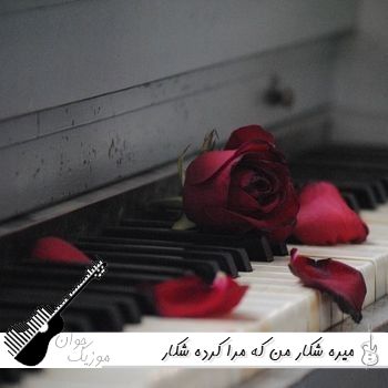 دانلود آهنگ میره شکار من که مرا کرده شکار هوش مصنوعی با صدای زن هوش مصنوعی دانلود آهنگ میره شکار من که مرا کرده شکار هوش مصنوعی با صدای زن هوش مصنوعی